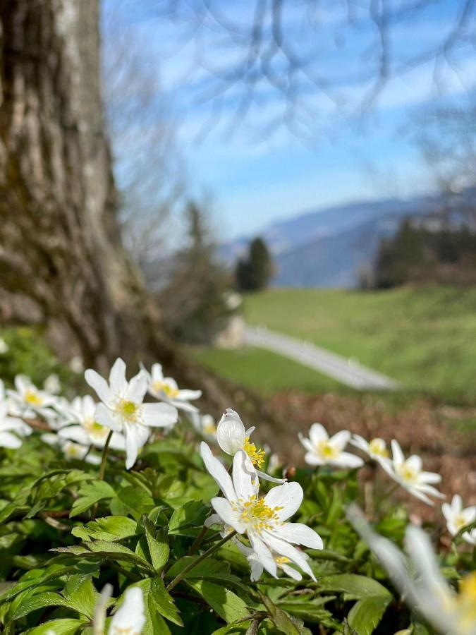 Fruehstueckspension Bilgeri Sulzberg  Zewnętrze zdjęcie